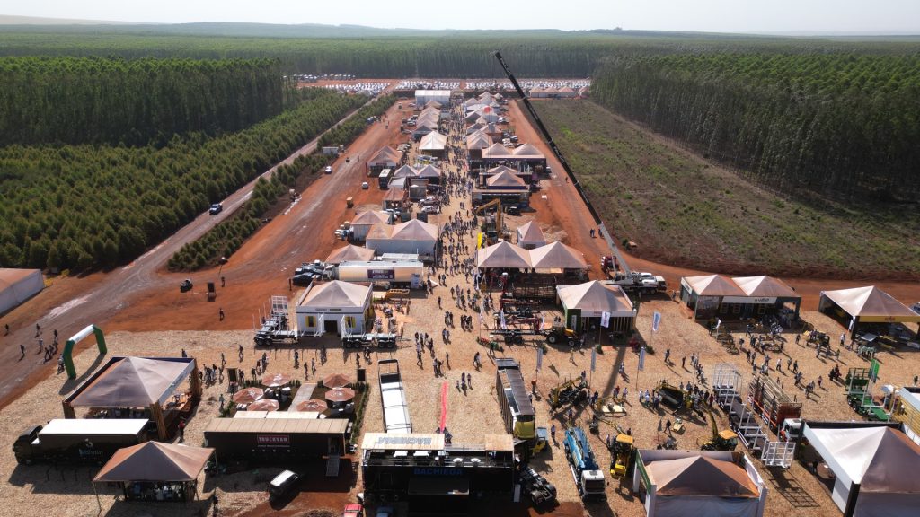 Semana Florestal Brasileira: conhecimento em campo