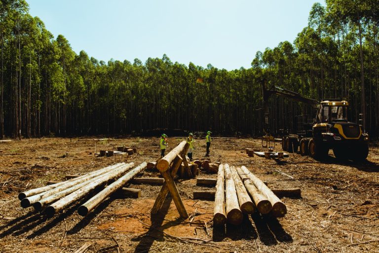 0516_EXPOFOREST_2018_[feira]_PRINT