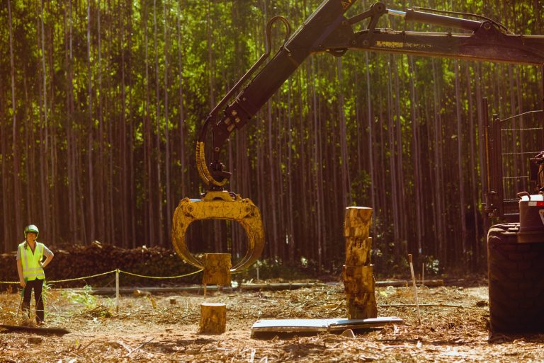 0522_EXPOFOREST_2018_[feira]_PRINT