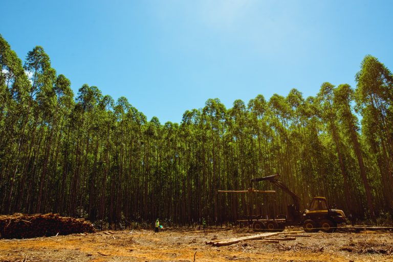 1082_EXPOFOREST_2018_[feira]_PRINT