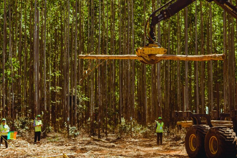 1101_EXPOFOREST_2018_[feira]_PRINT