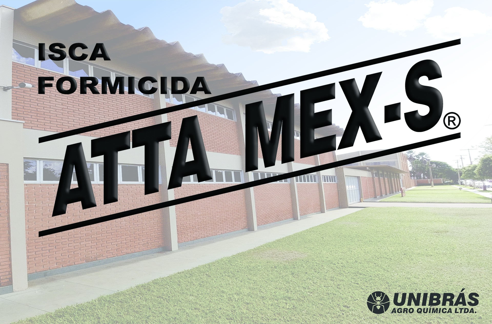 Atta Mex-S (EN) - Expoforest 2023